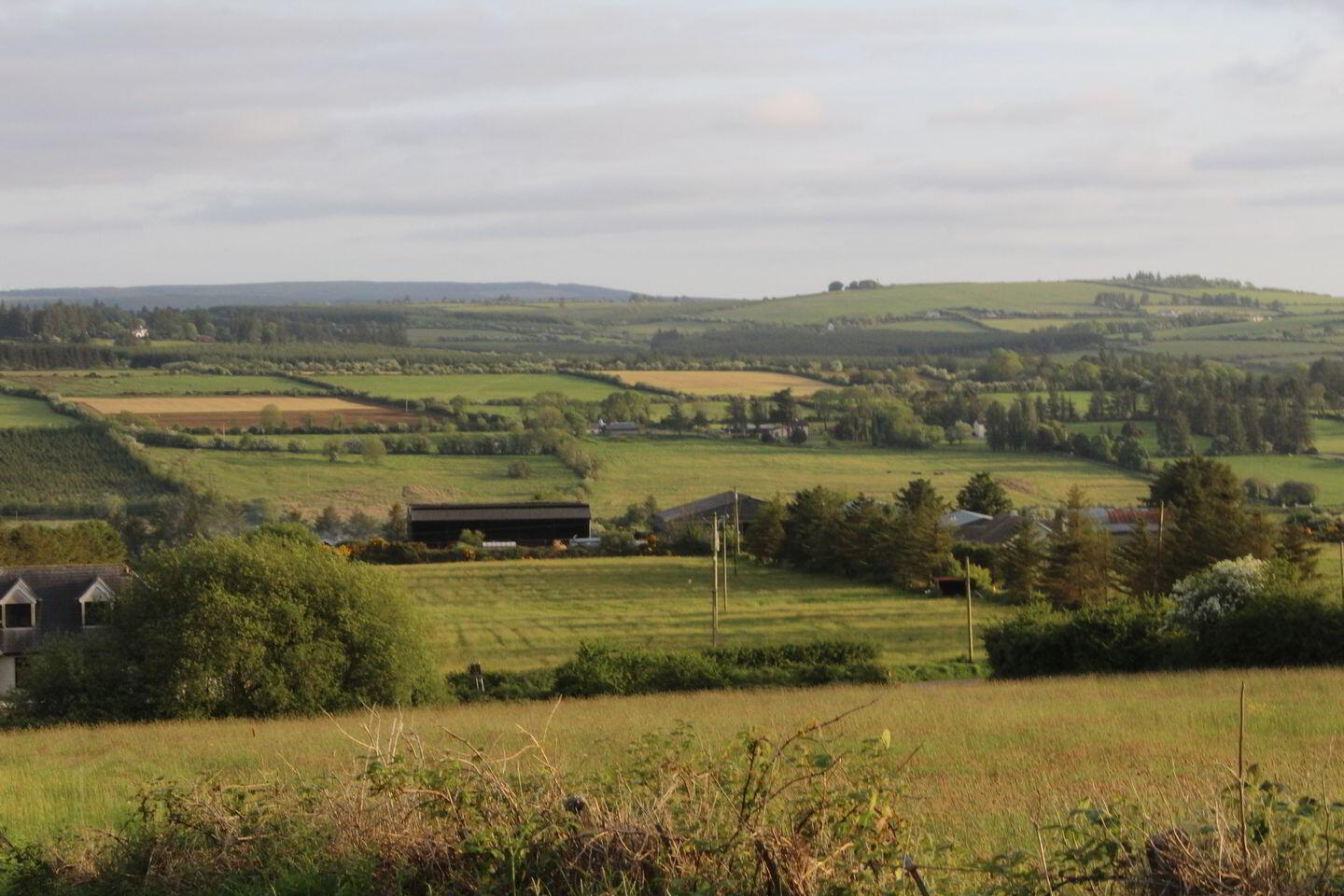 Caherlane 10 of 11