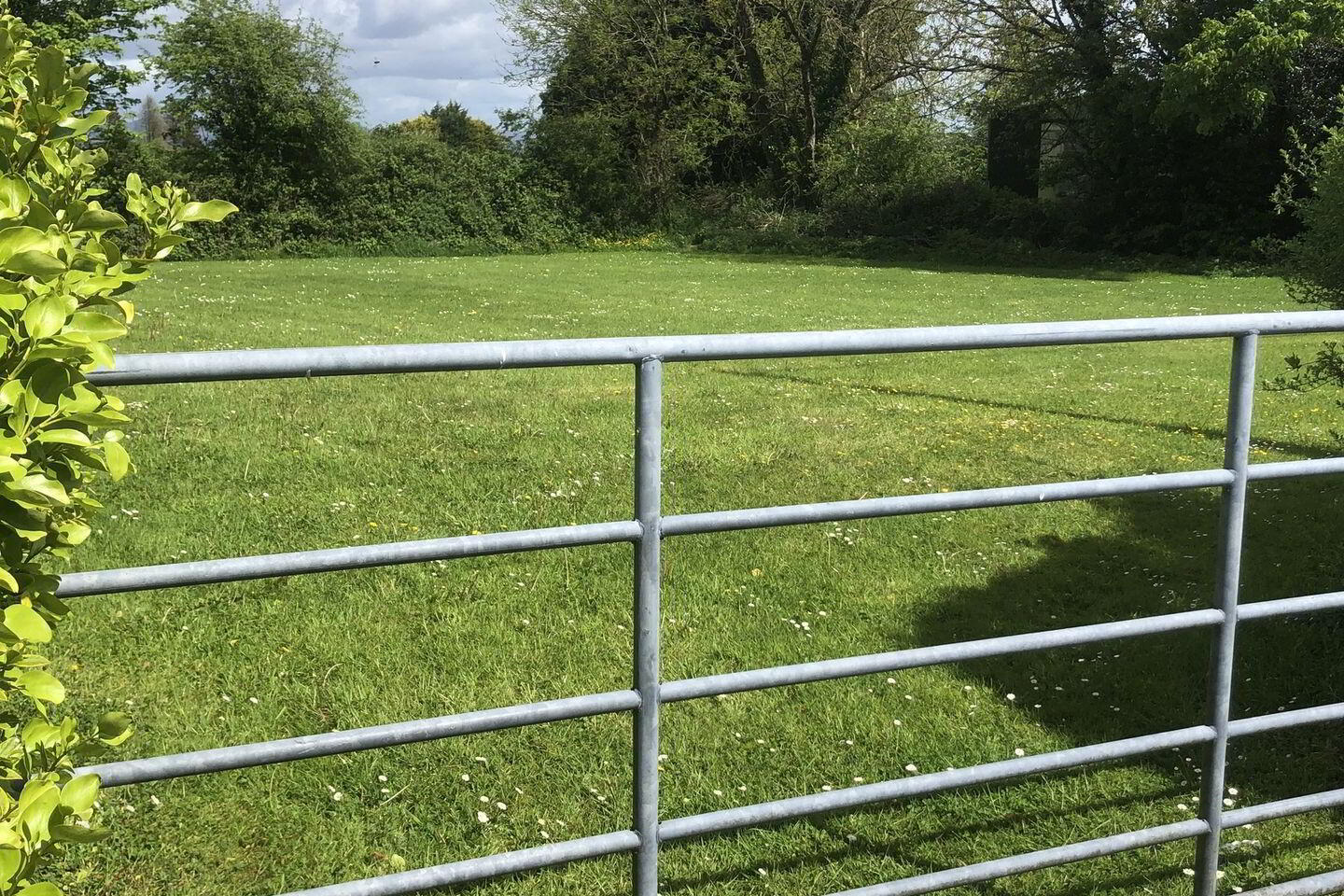Killeenagh 35 of 35