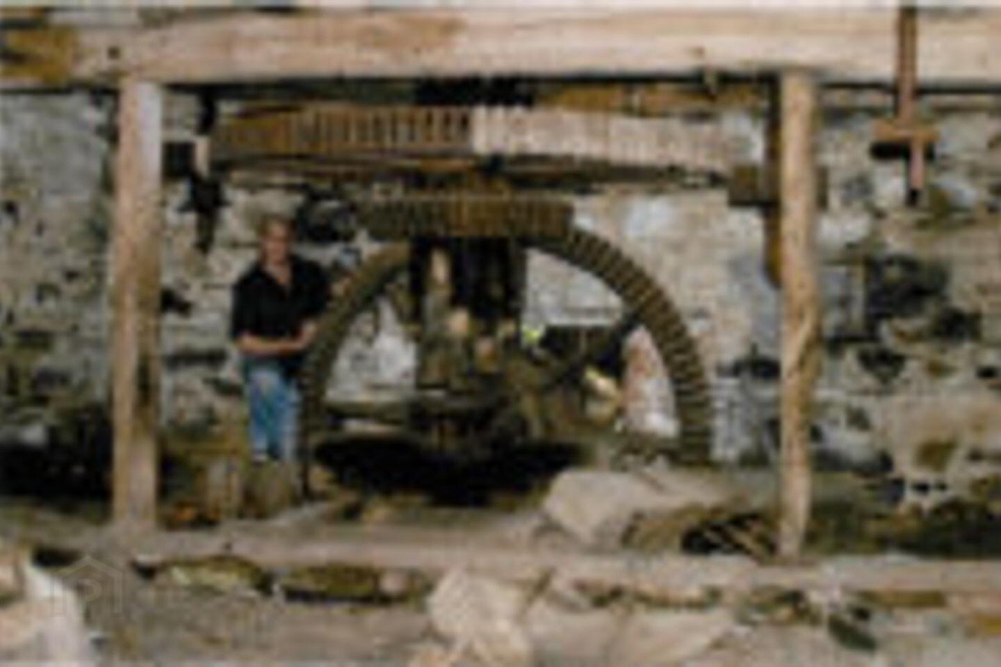 Garrymore 6 of 6