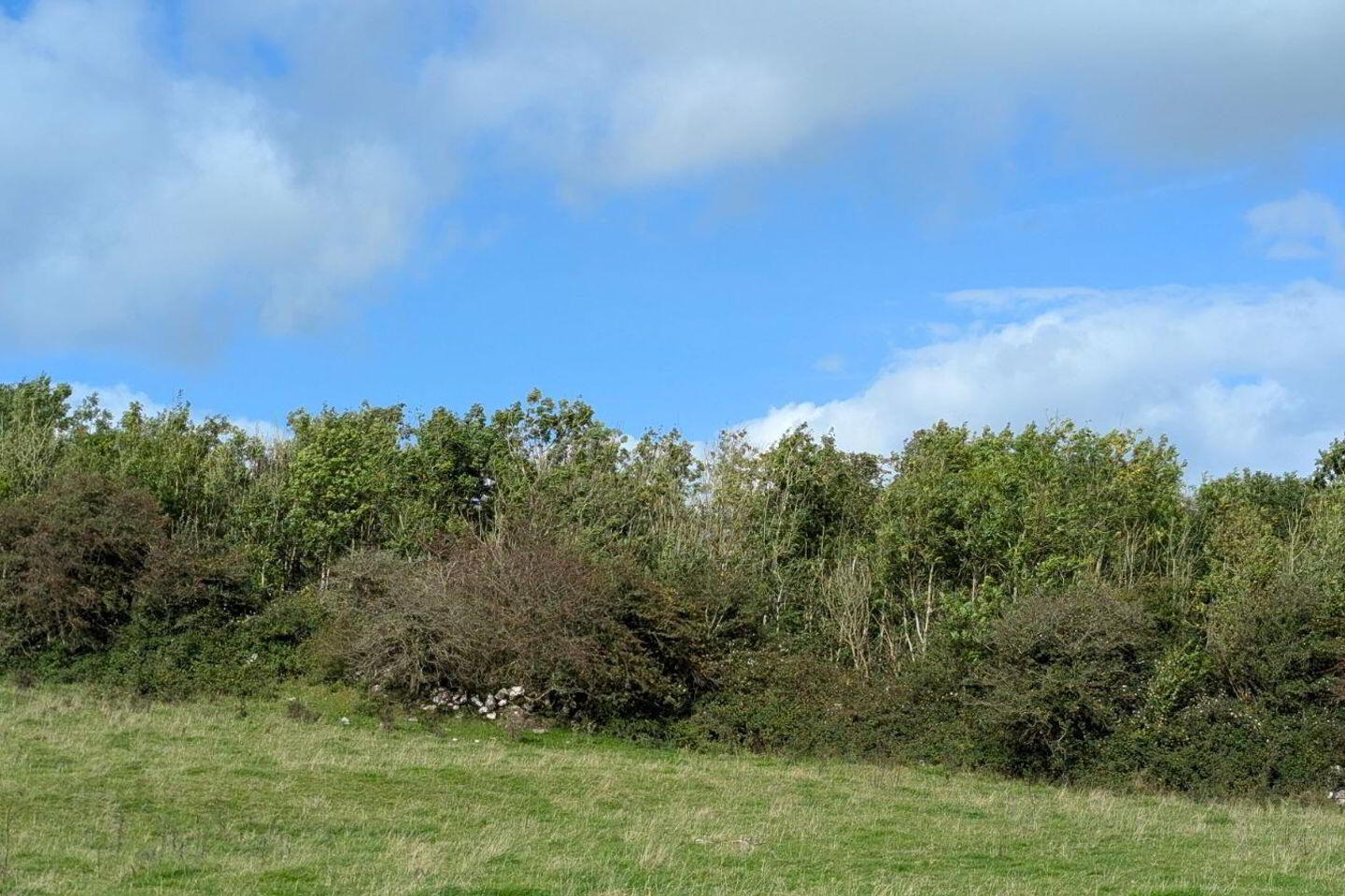 Cahernagry East 7 of 7