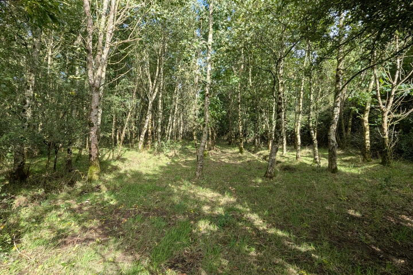 Cahernagry East 6 of 7