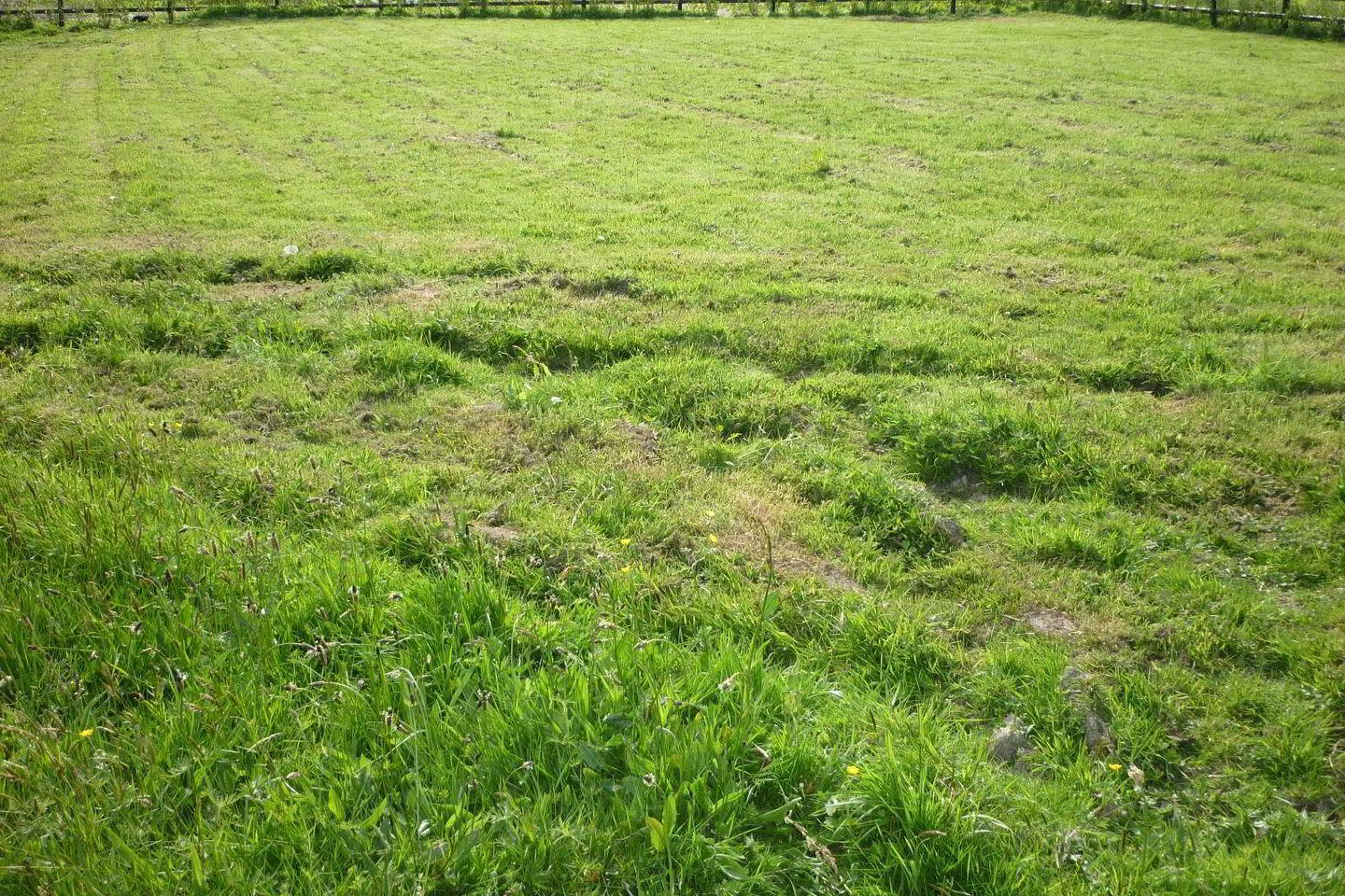 Park T, D Bellvue 6 of 7