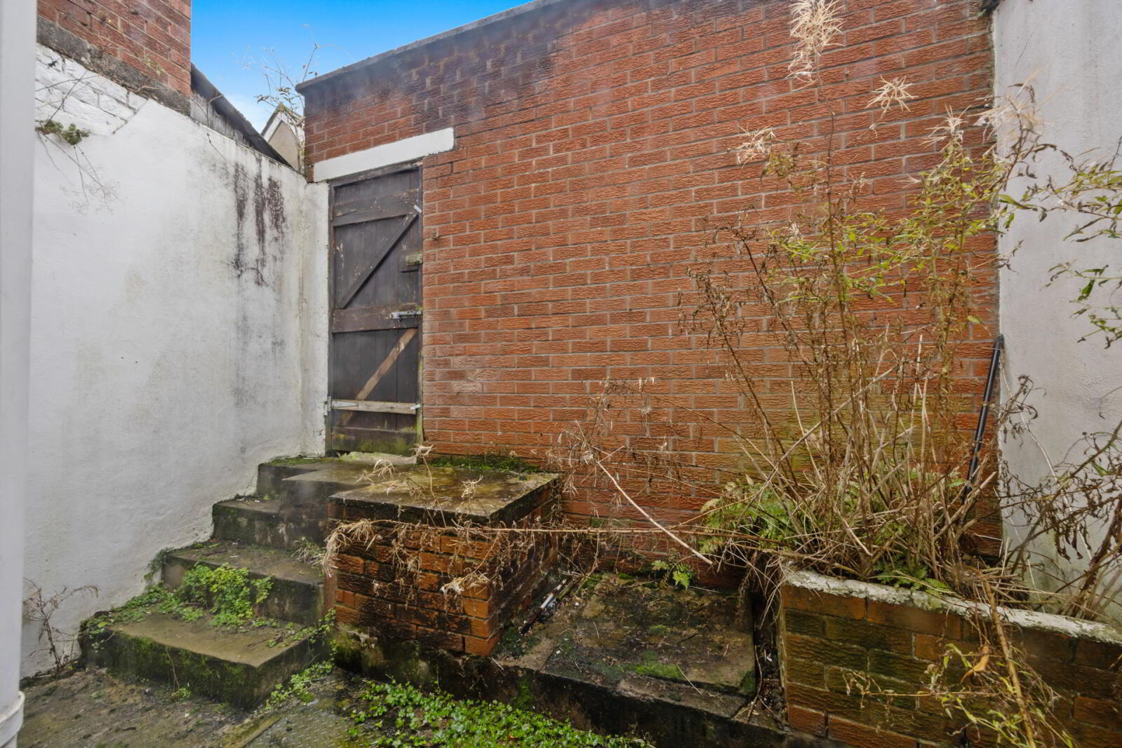 36 Fernwood Street 22 of 23