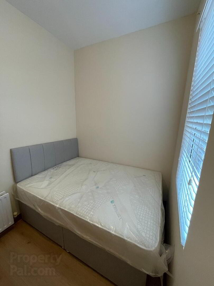 Unit 2, 45 Dunluce Avenue 5 of 9