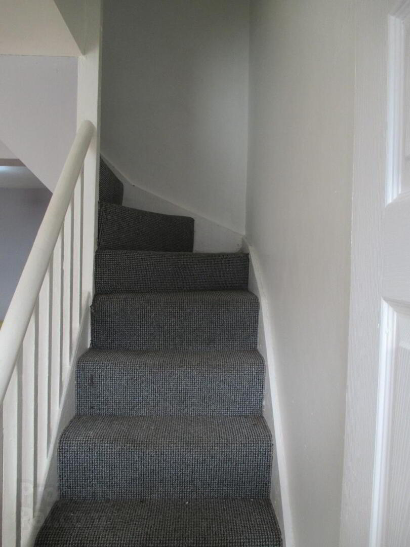 Tavanagh Street 8 of 17