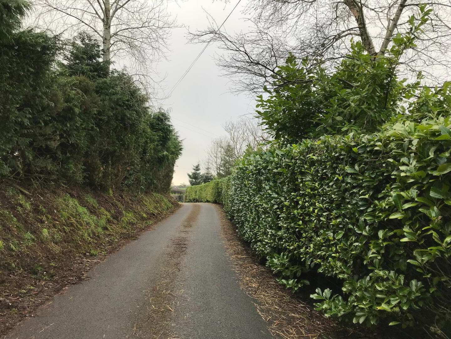 18a Crosscavanagh Road 15 of 15