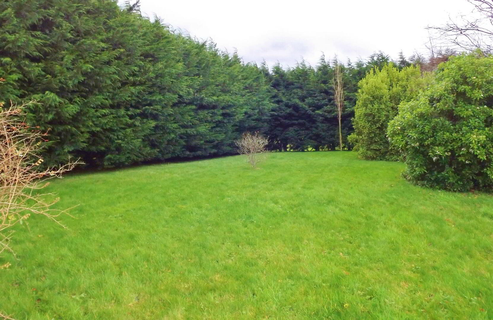 5 Loughinisland Road 20 of 20