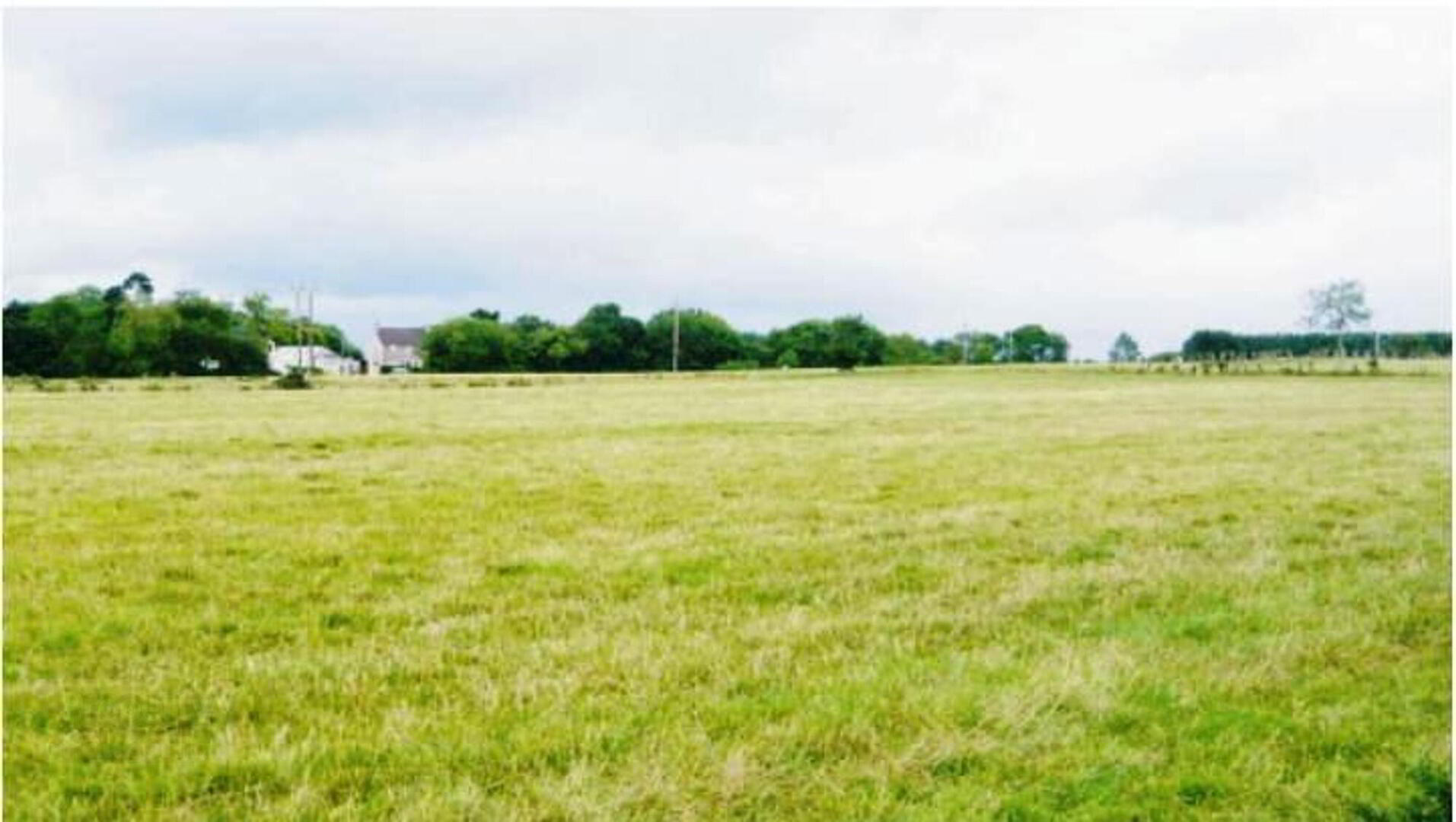 Ballywindelland Road