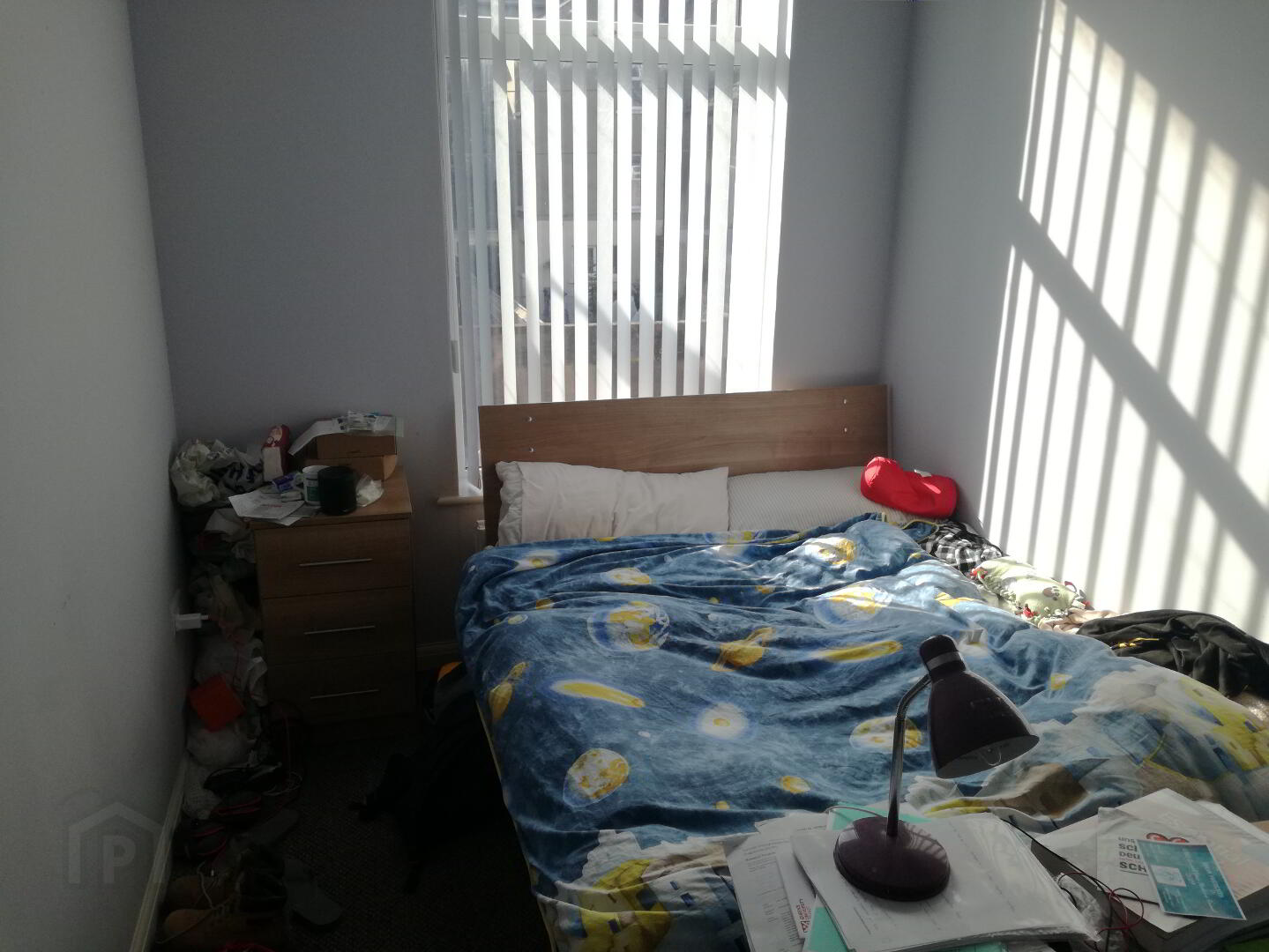 Apt 2, 7 Dunluce Avenue 5 of 6