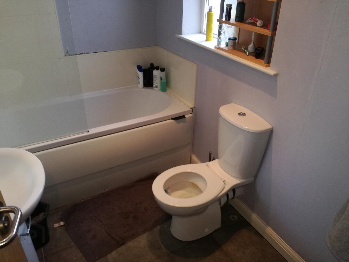 Apt 2, 7 Dunluce Avenue 6 of 6