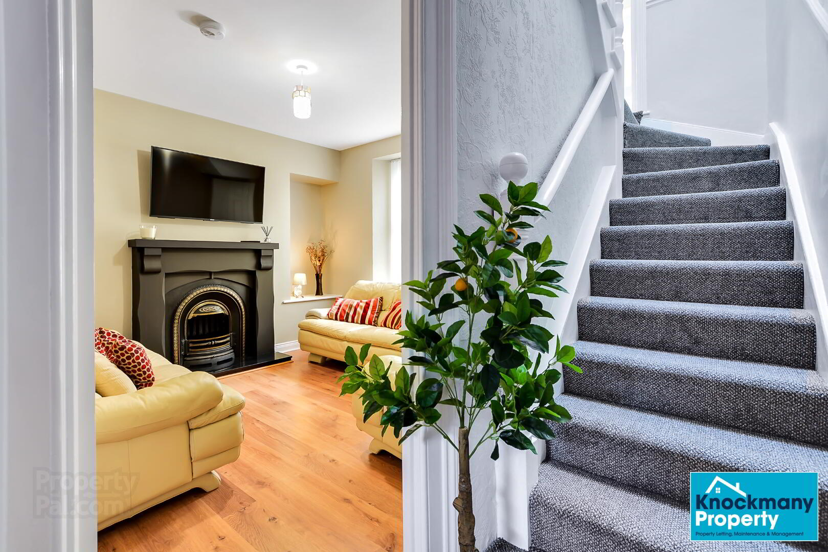 STUDENT ACCOMMODATION, 17 Argyle Street 4 of 21