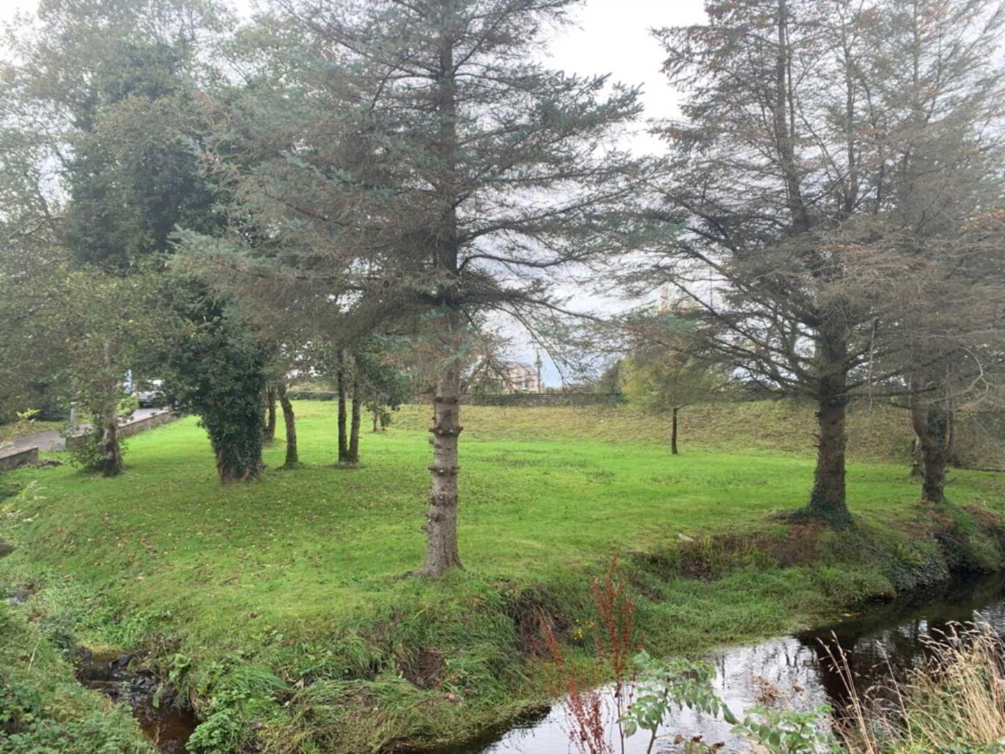 Cotteen 6 of 6