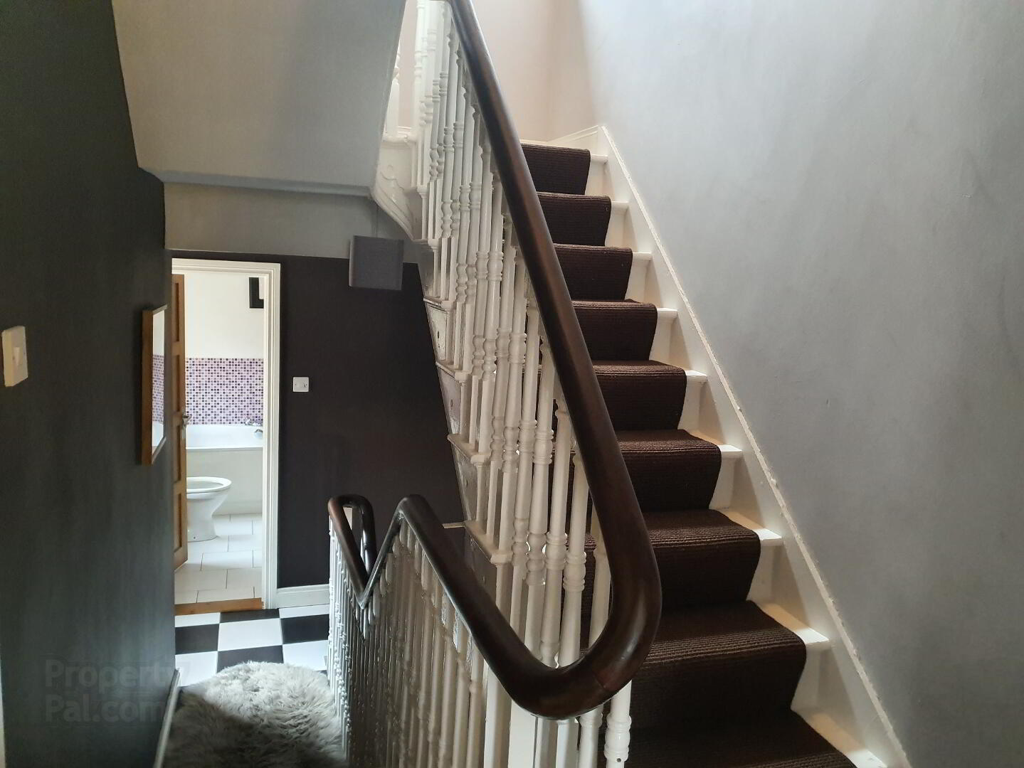 6 Haypark Avenue 10 of 17