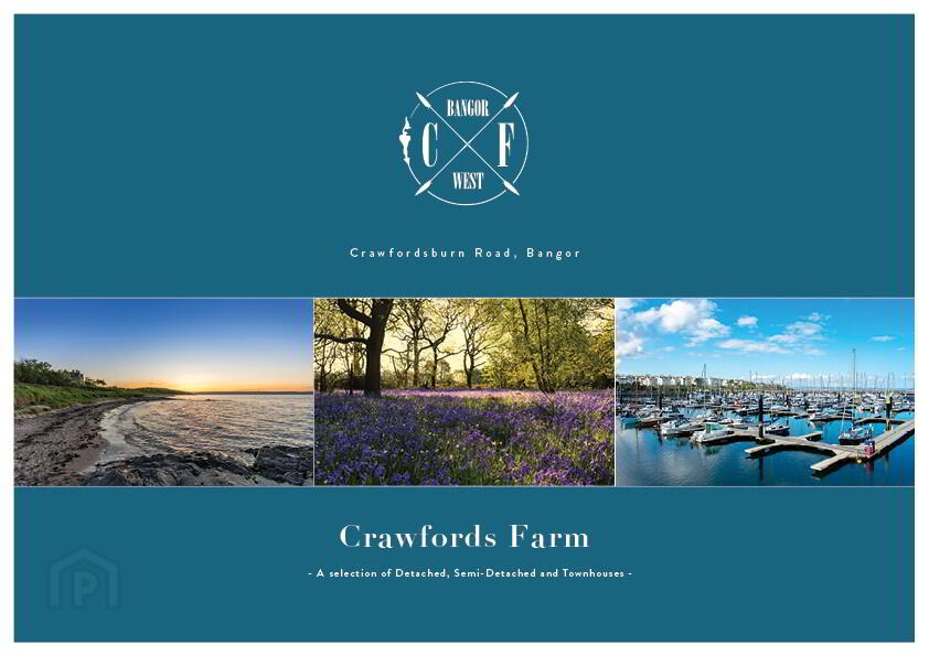 Crawford 4 of 6