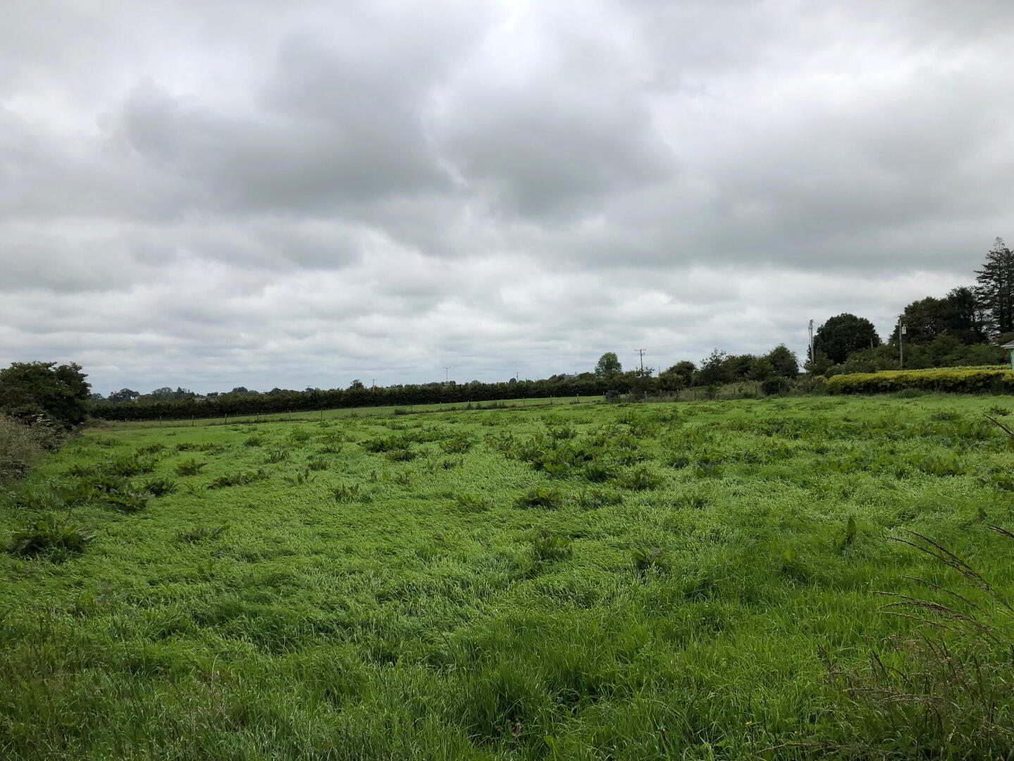 property description image