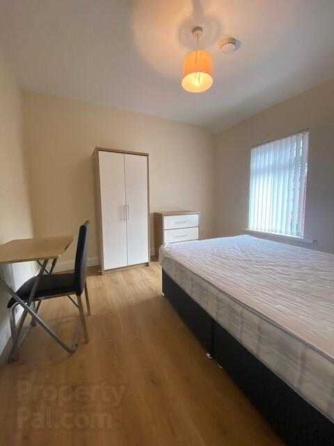 **student Property***, 54 Argyle Street 6 of 7