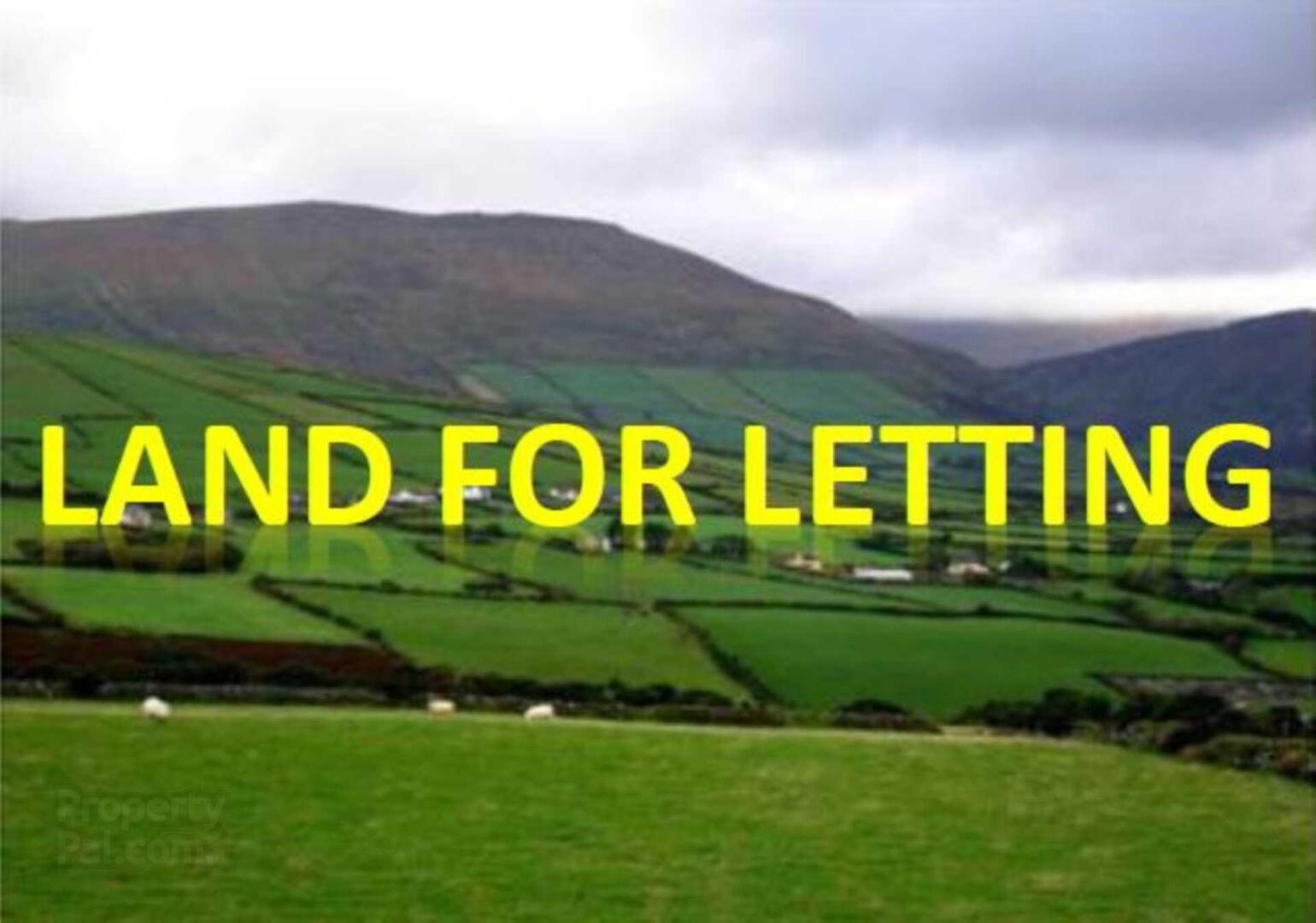 26 Acres, For Let