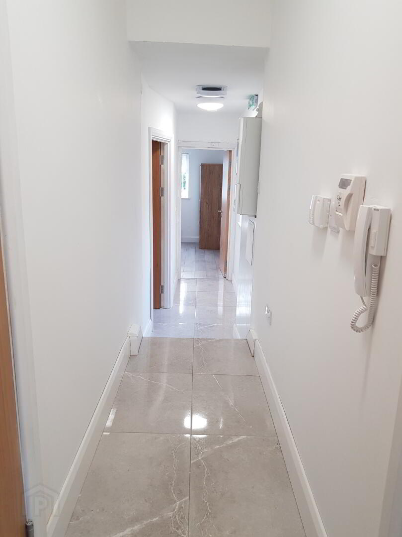Apt 2, 66 Malone Avenue 9 of 9
