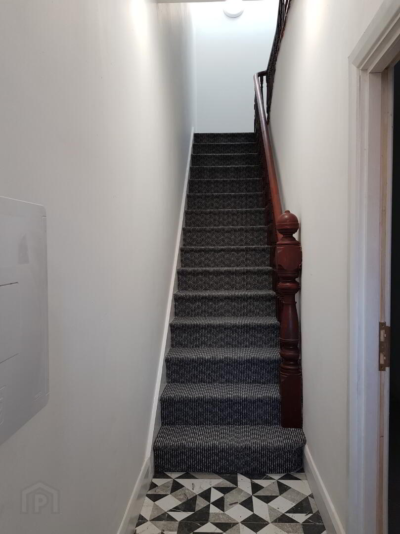 Apt 2, 66 Malone Avenue 2 of 9