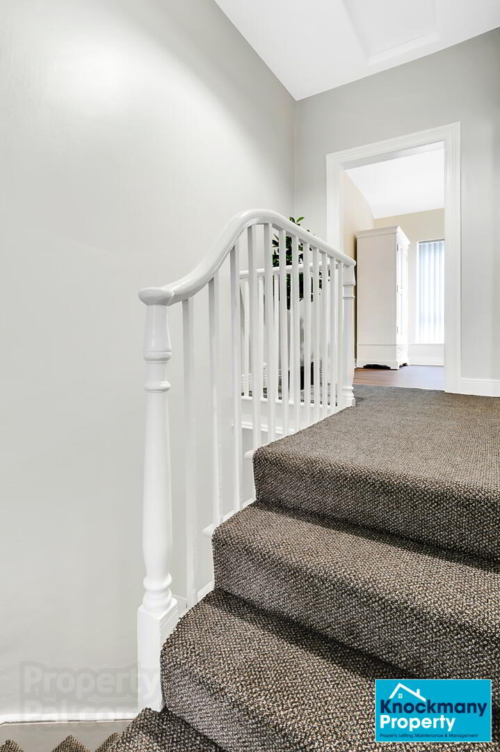STUDENT ACCOMMODATION, 17 Nicholson Square 12 of 21