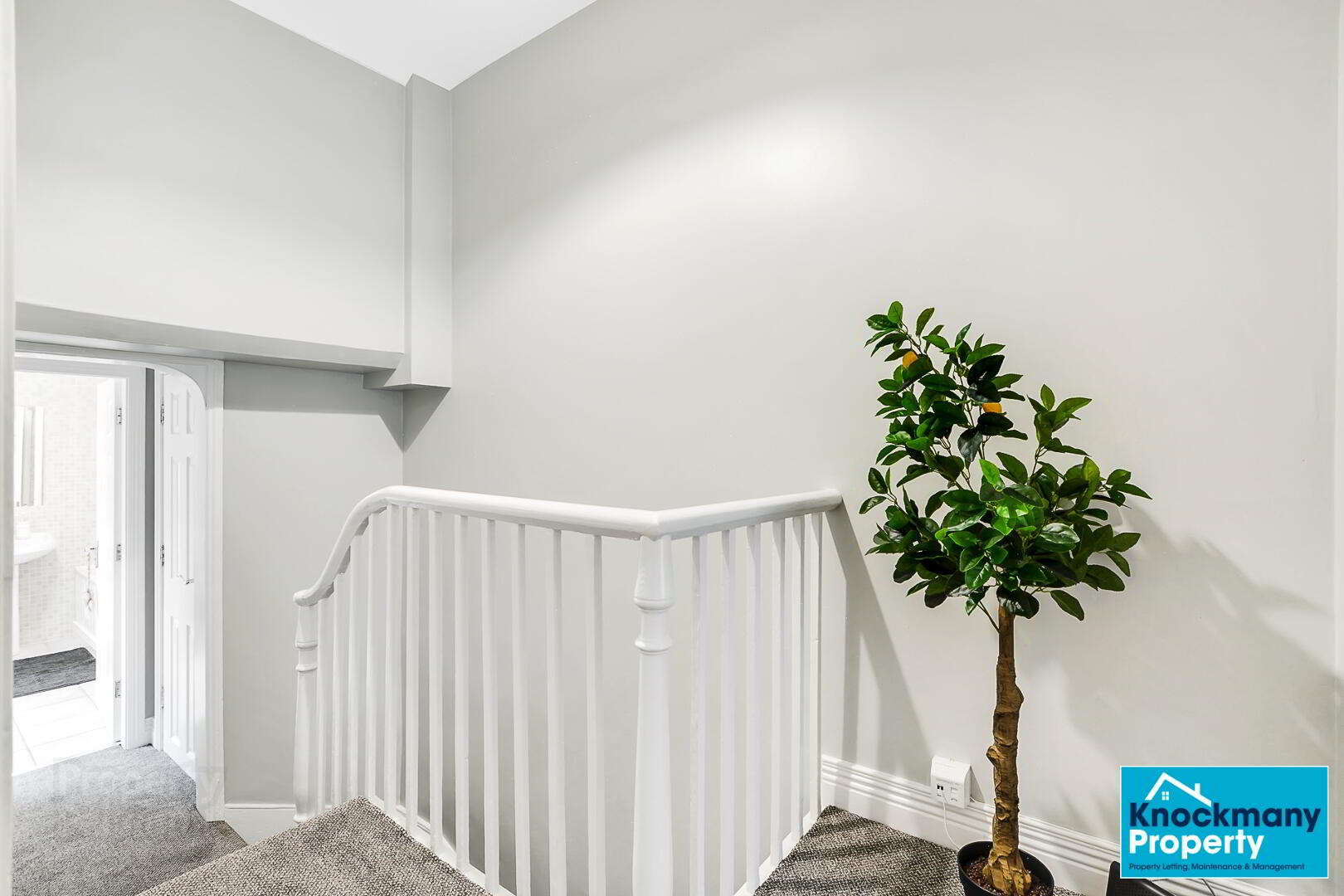 STUDENT ACCOMMODATION, 17 Nicholson Square 15 of 21
