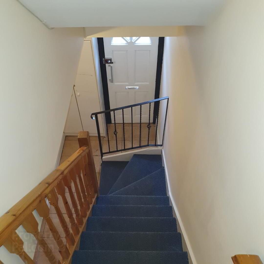 Landseer Street 10 of 10