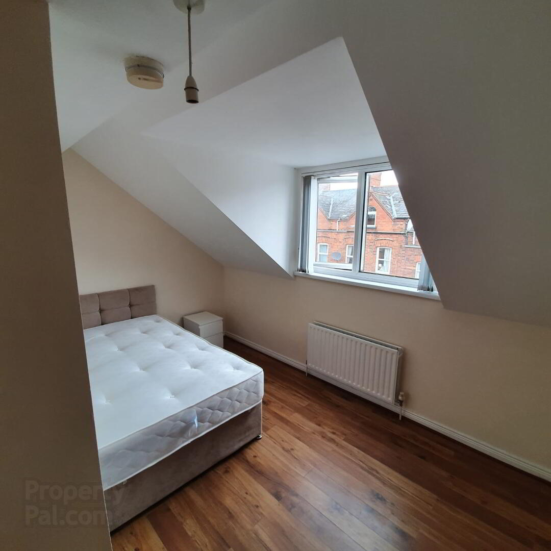 Landseer Street 7 of 10
