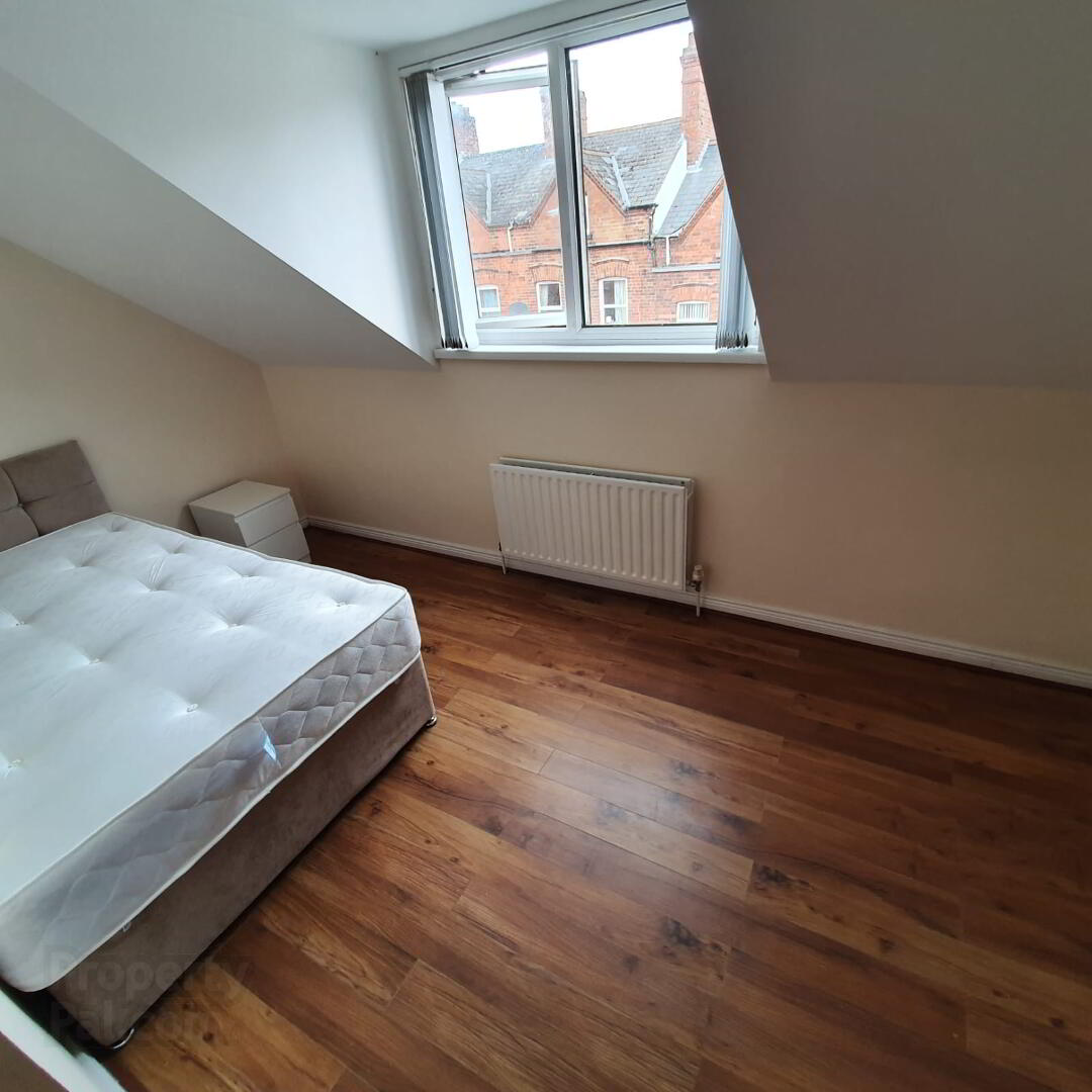 Landseer Street 5 of 10