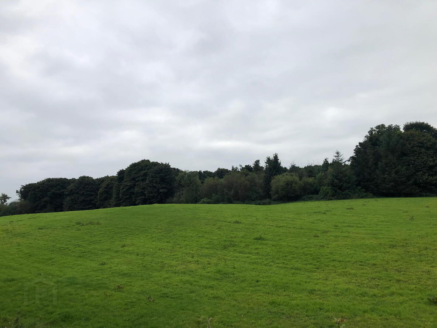 C. 13.26 Acres Of Farm Land At Castlemacgarrett 2 of 4