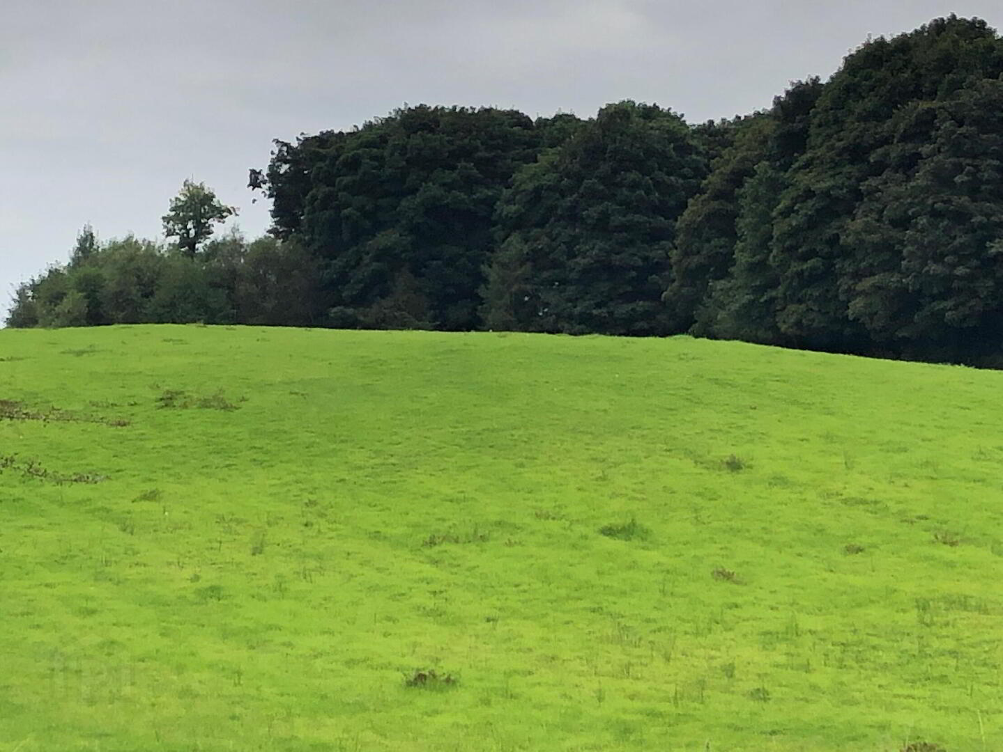 C. 13.26 Acres Of Farm Land At Castlemacgarrett 3 of 4