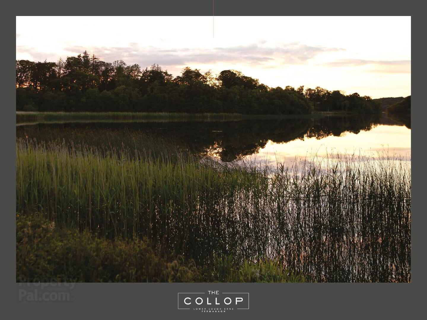 The Collop - Detached Eco Home 15 of 23