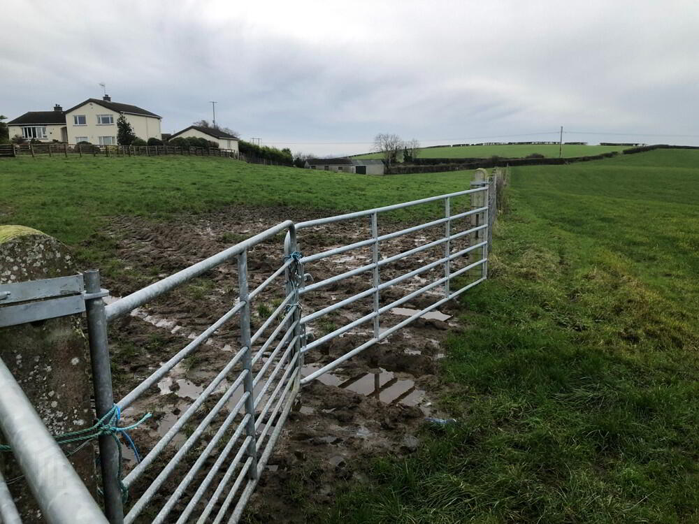 15 Acres Of Agricultural Land, Adjacent To 55 Ringsend Road 4 of 5