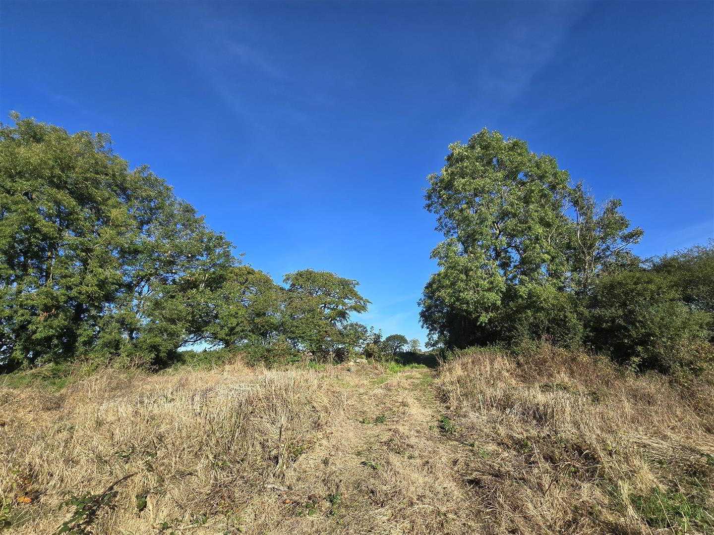Site Beside, 64 Old Portglenone Road 5 of 7