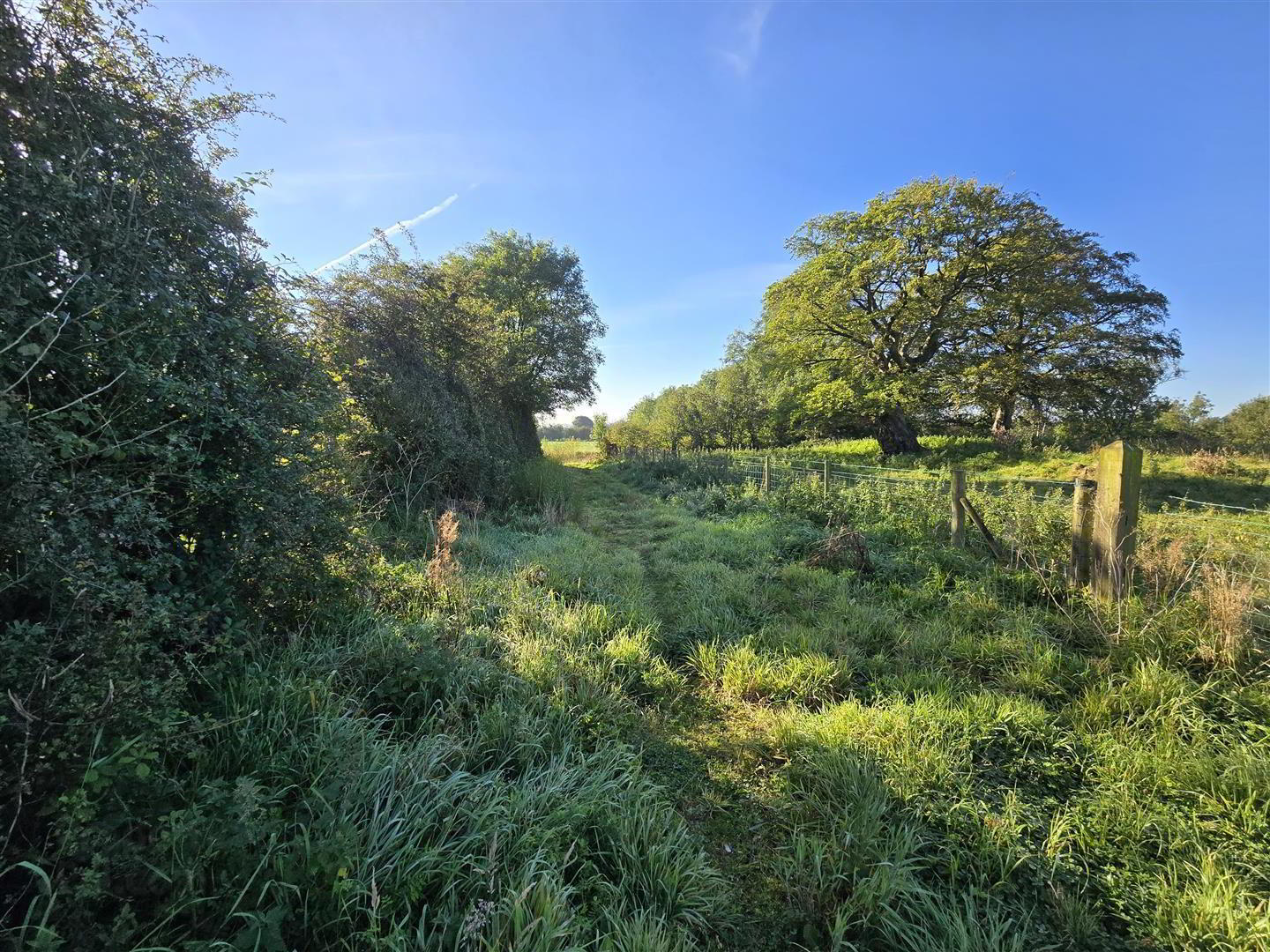 Site Beside, 64 Old Portglenone Road 4 of 7