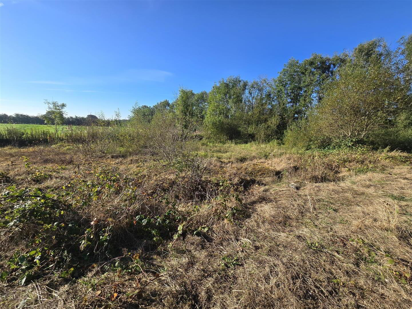 Site Beside, 64 Old Portglenone Road