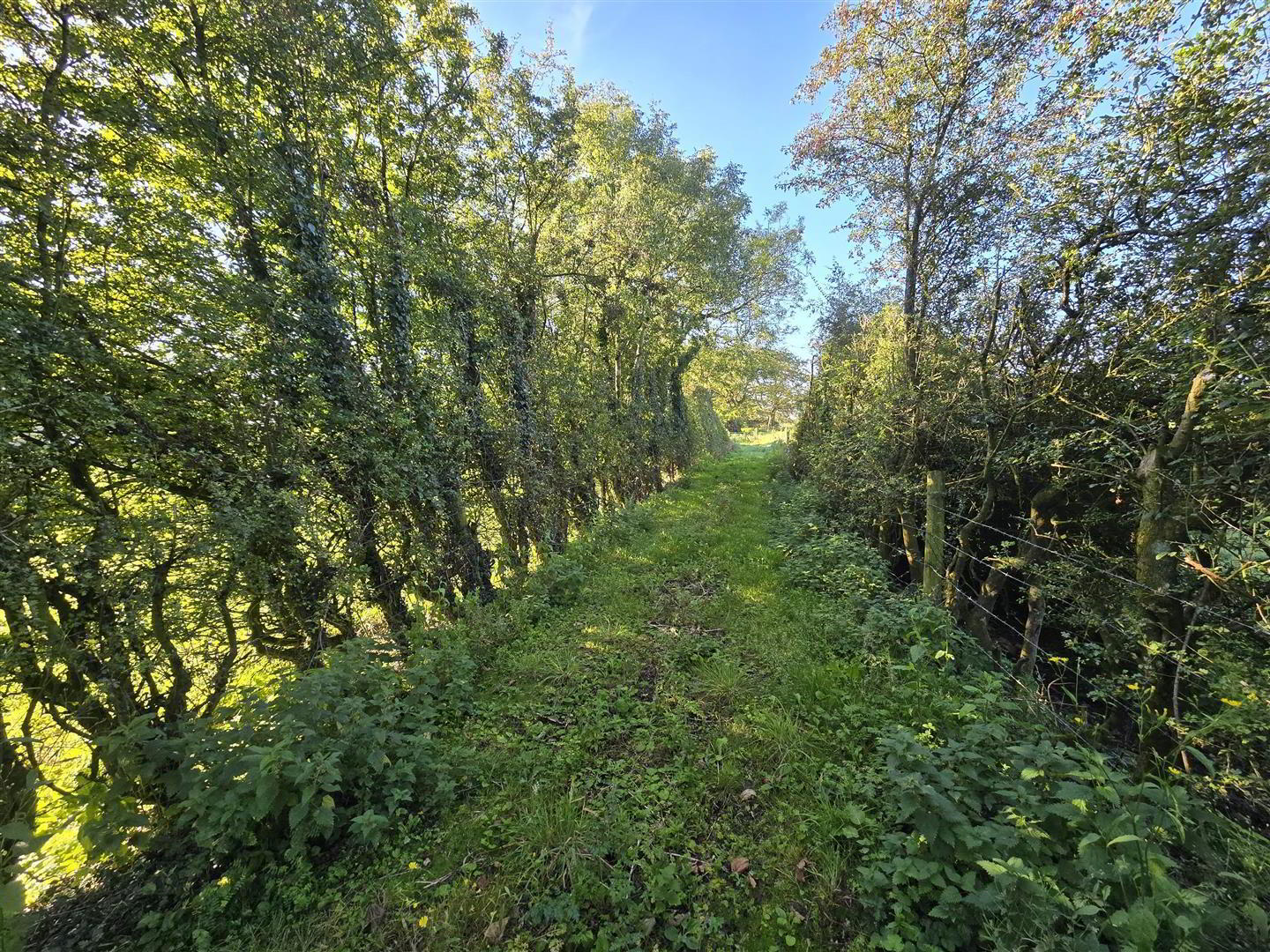 Site Beside, 64 Old Portglenone Road