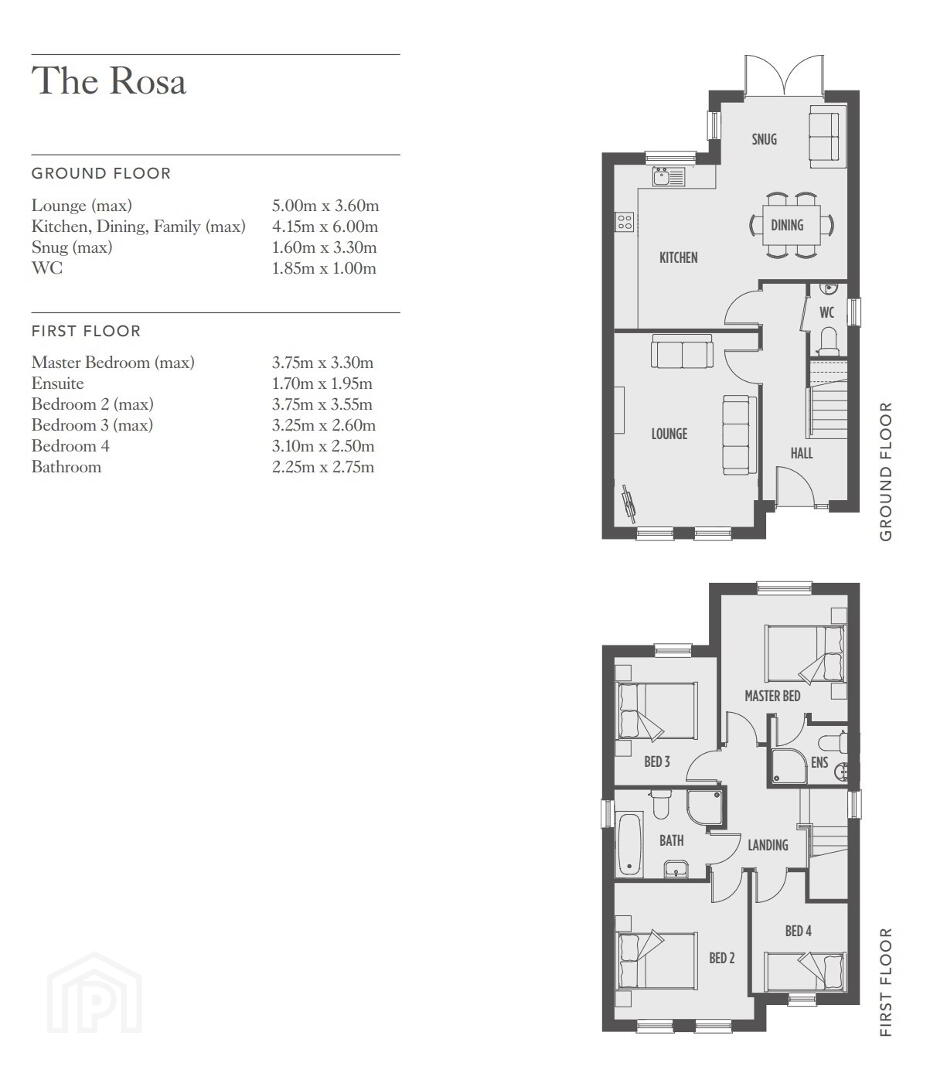 Rosa - Brick/Render 2 of 3