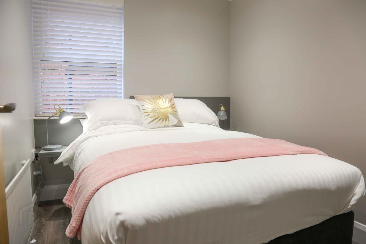 Apt 3, 61 Eglantine Avenue 5 of 11