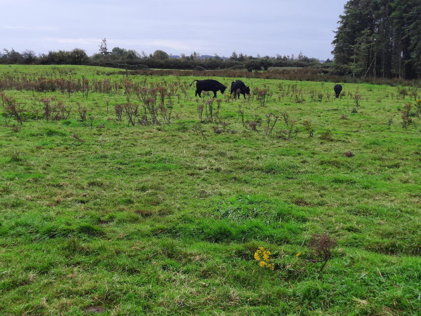 Ballyglass West