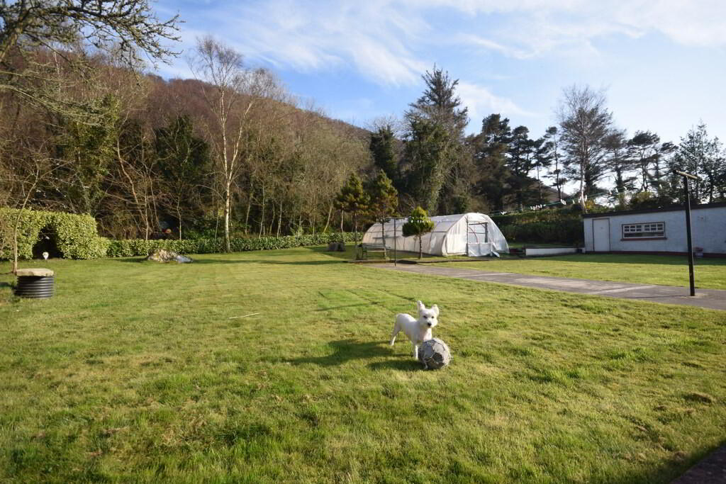 Ranny 10 of 12