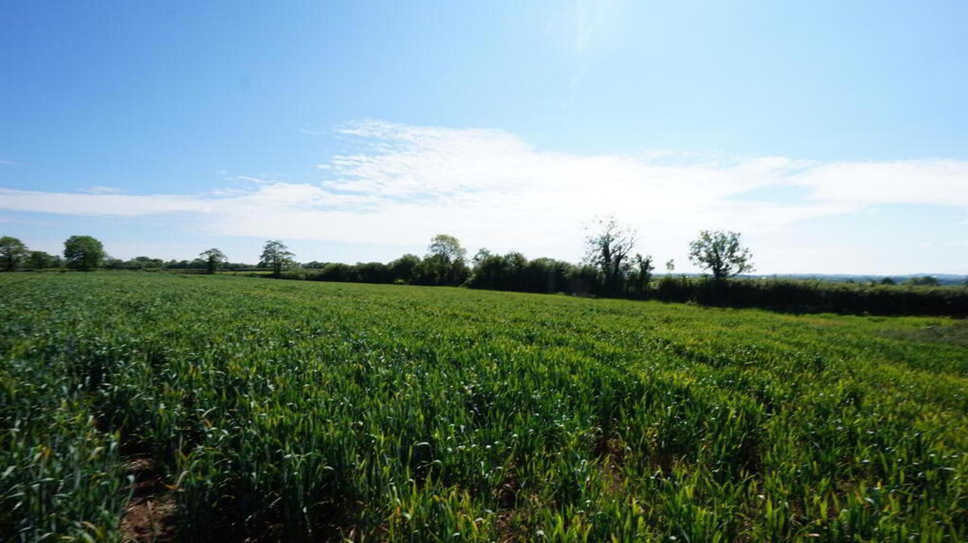 Site C N Of, 33 Largy Road