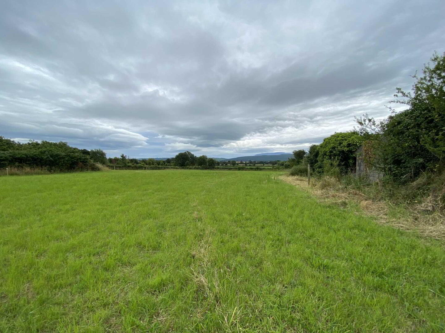 Site, Ballypatrick 8 of 10