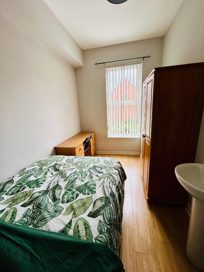 Westminster Street, Room 1 6 of 12