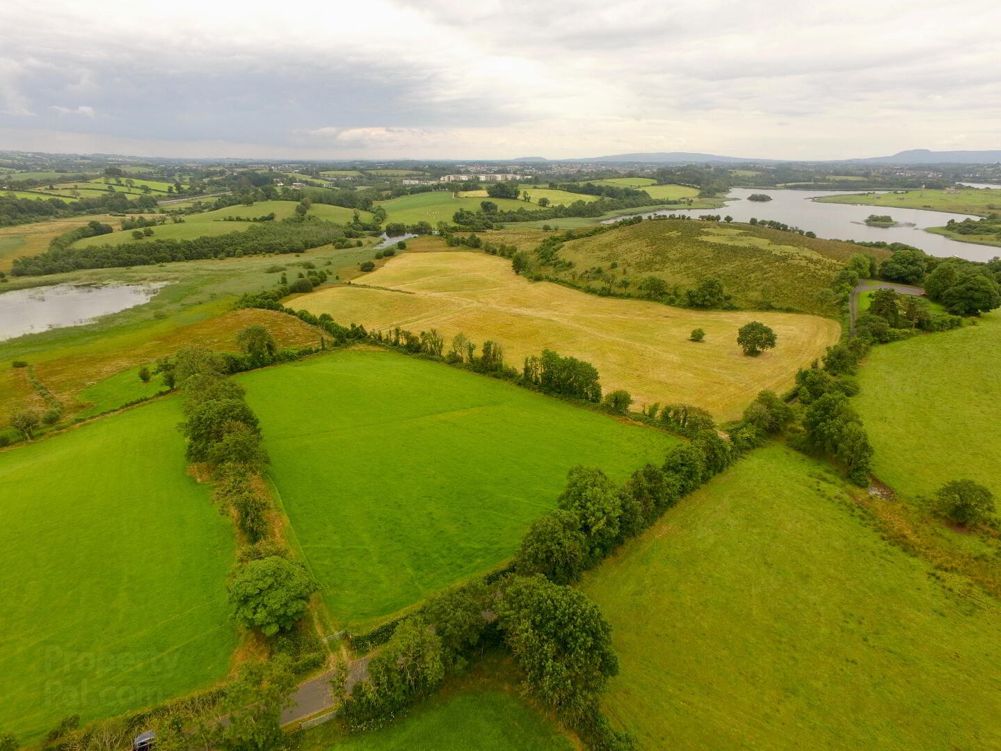 Agricultural Land