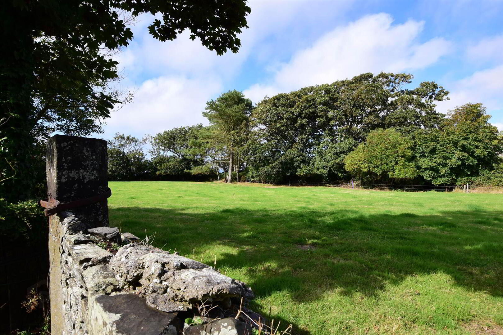 St John's House, 65 Point Road 50 of 52