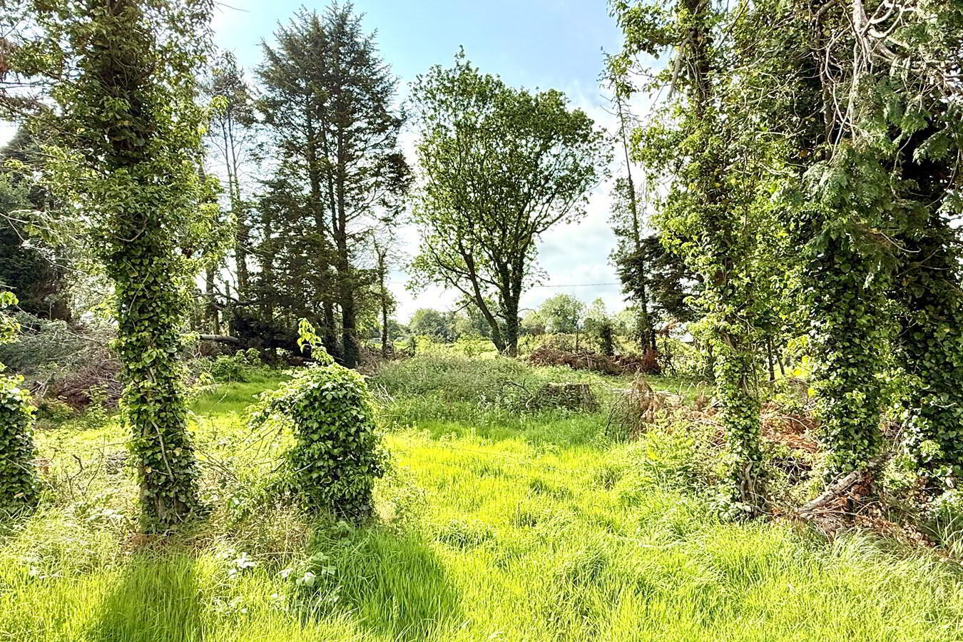Building Site, Site Adjacent To, 17 Knock Road 9 of 9