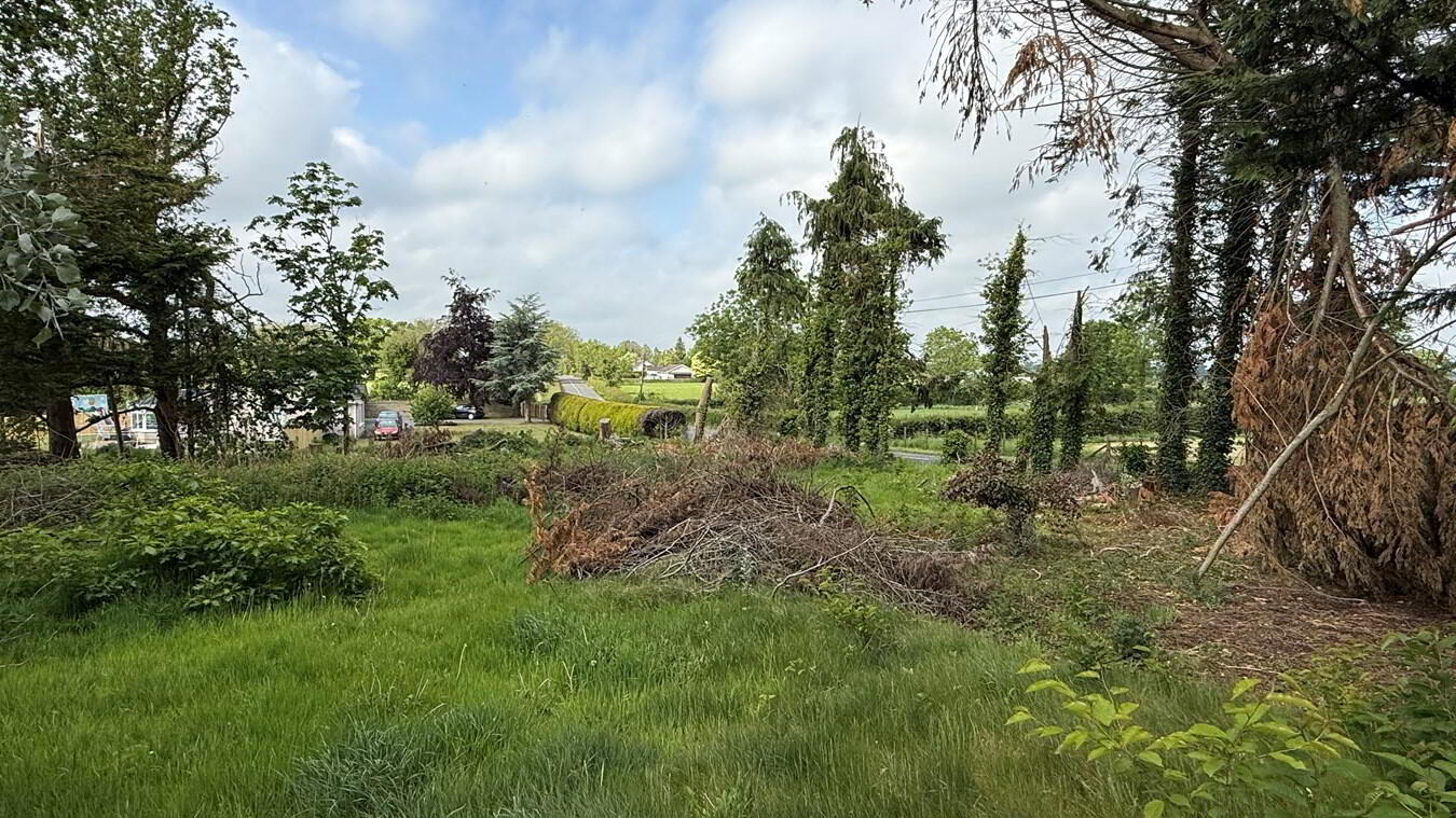 Building Site, Site Adjacent To, 17 Knock Road 1 of 9