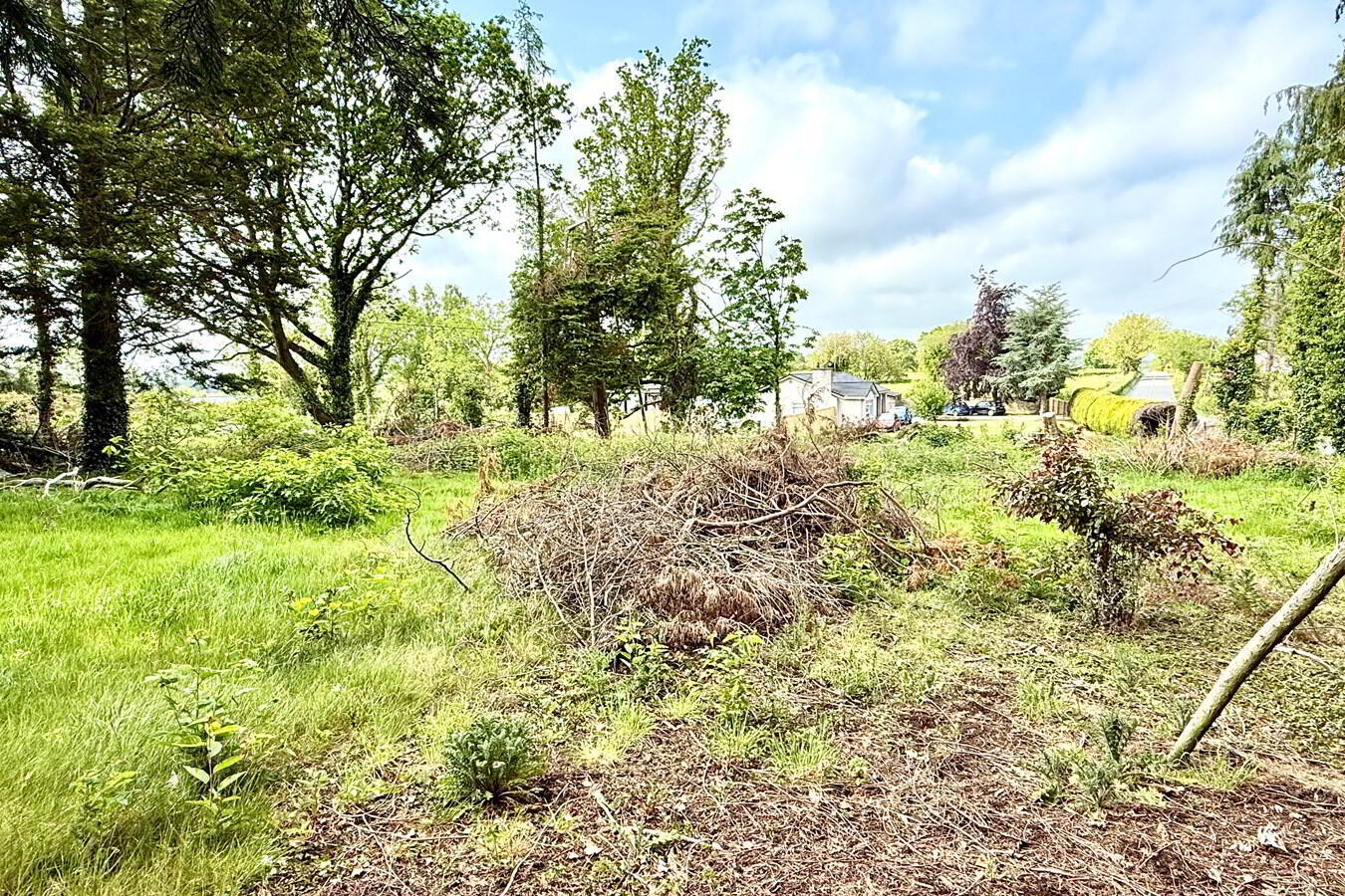 property description image