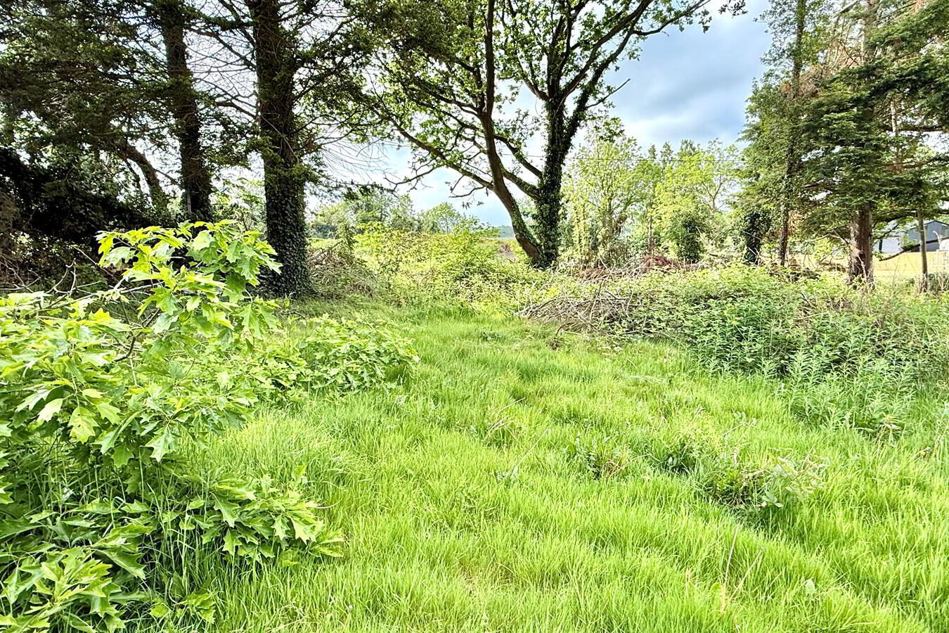 Building Site, Site Adjacent To, 17 Knock Road 3 of 9