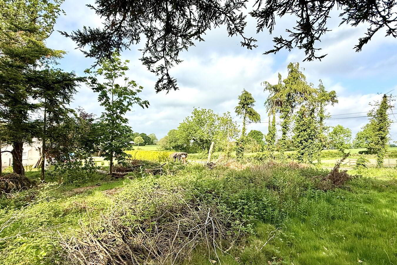 Building Site, Site Adjacent To, 17 Knock Road 5 of 9